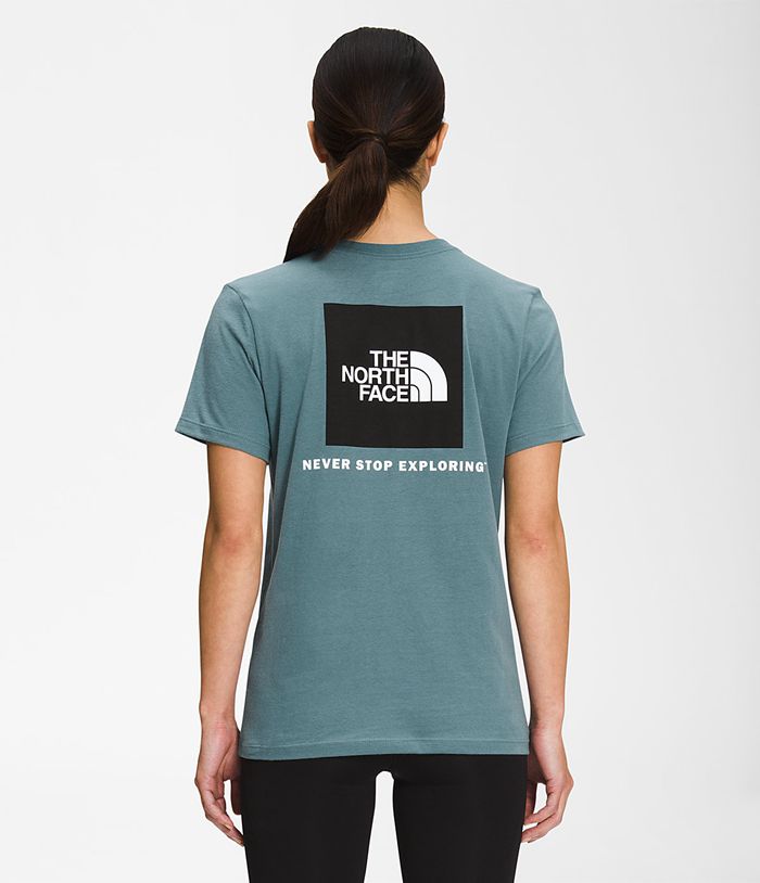 The North Face Short Sleeve Box NSE Womens T-Shirts Blue 278049-ORI